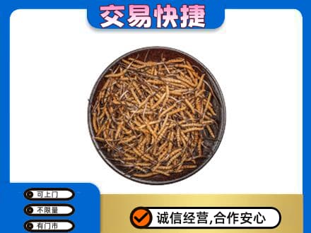 绥化高价回收散虫草